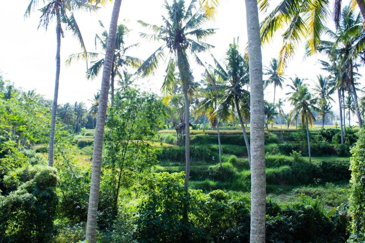 Alam Grigis Ubud Exterior foto